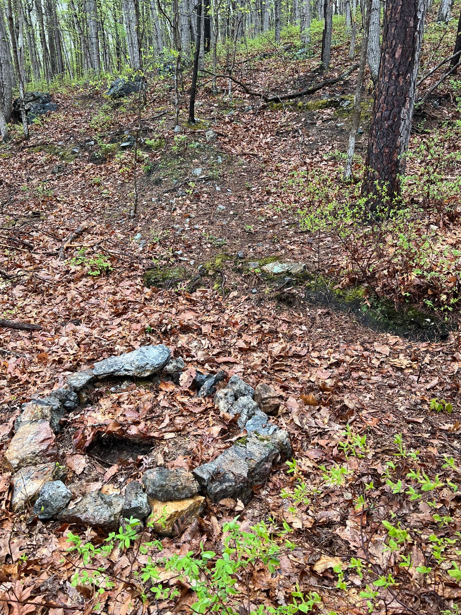 Camper-submitted photo at Kiss the Earth near Crimora, VA