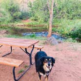 Review photo of Page Springs Resort by Jordan H., April 26, 2022