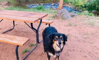 Jordan H.'s photo of camping with pets at Page Springs Resort near Cottonwood, AZ