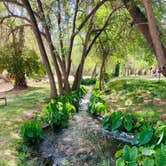 Review photo of Page Springs Resort by Jordan H., April 26, 2022