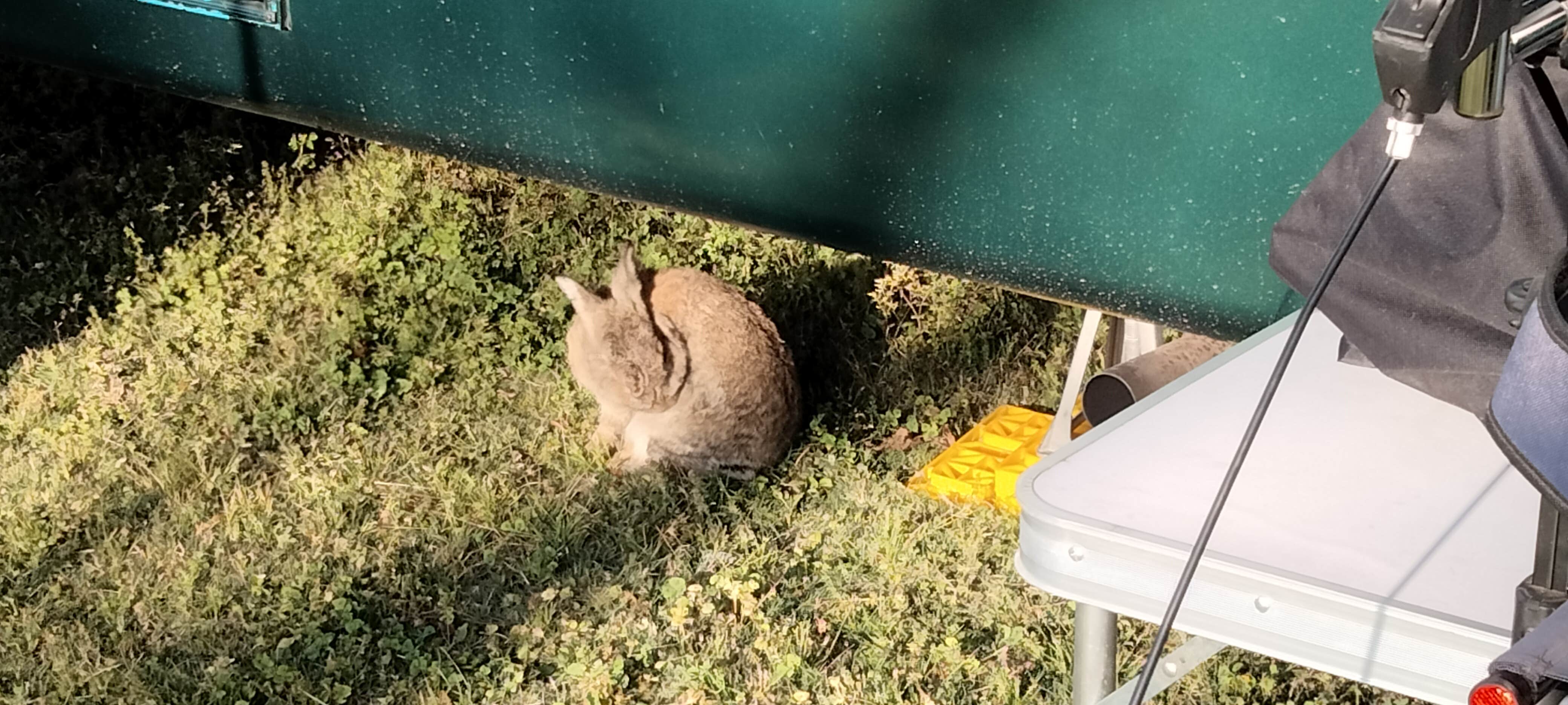Camper-submitted photo at Rocks Pond Campground & Marina near Pineville, SC