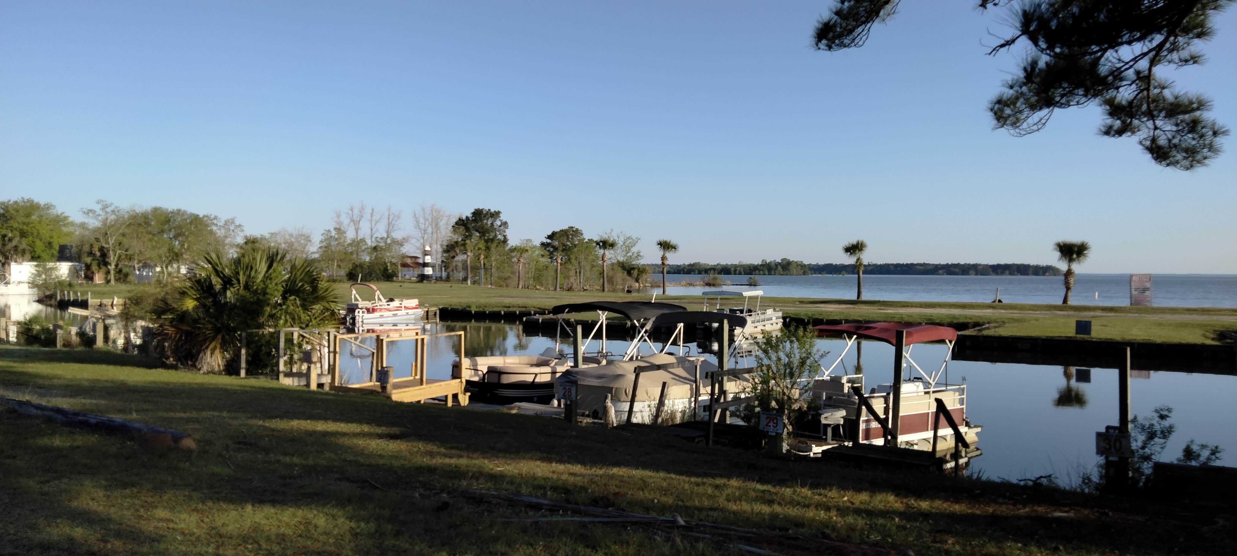 Camper-submitted photo at Rocks Pond Campground & Marina near Charleston, SC