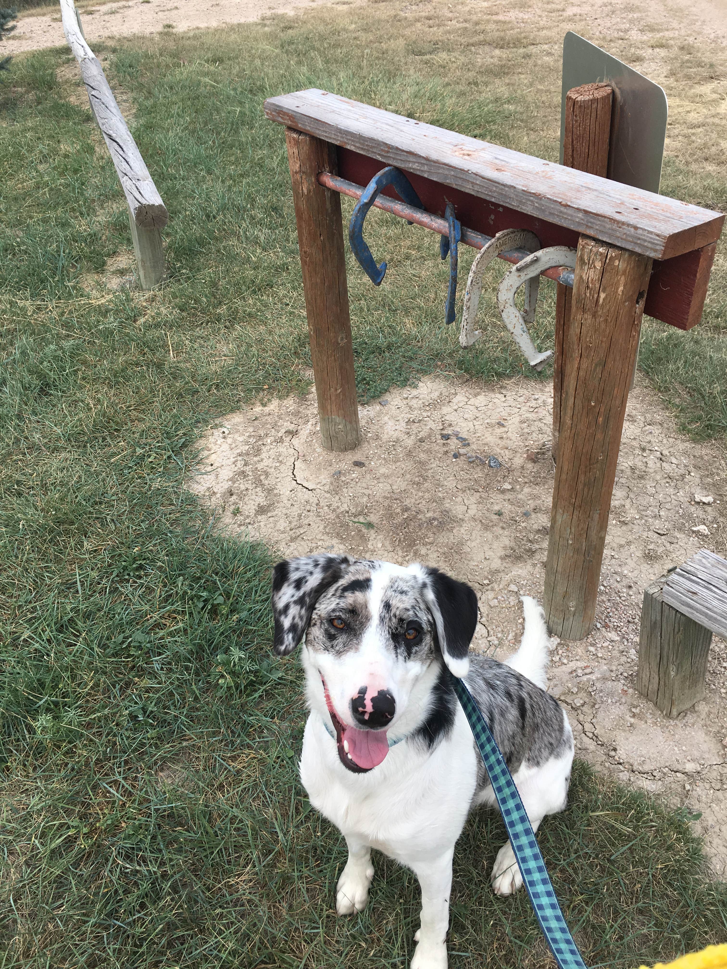 Camper submitted image from Limon KOA - 4