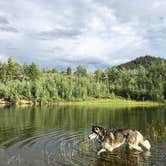 Review photo of Willow Creek Campground by GoWhereYouAreDraw N., July 13, 2018