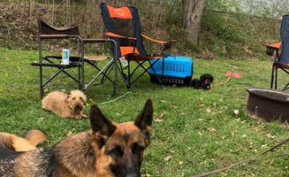 Adam F.'s photo of camping with pets at Carl Spindler Campground in Illinois