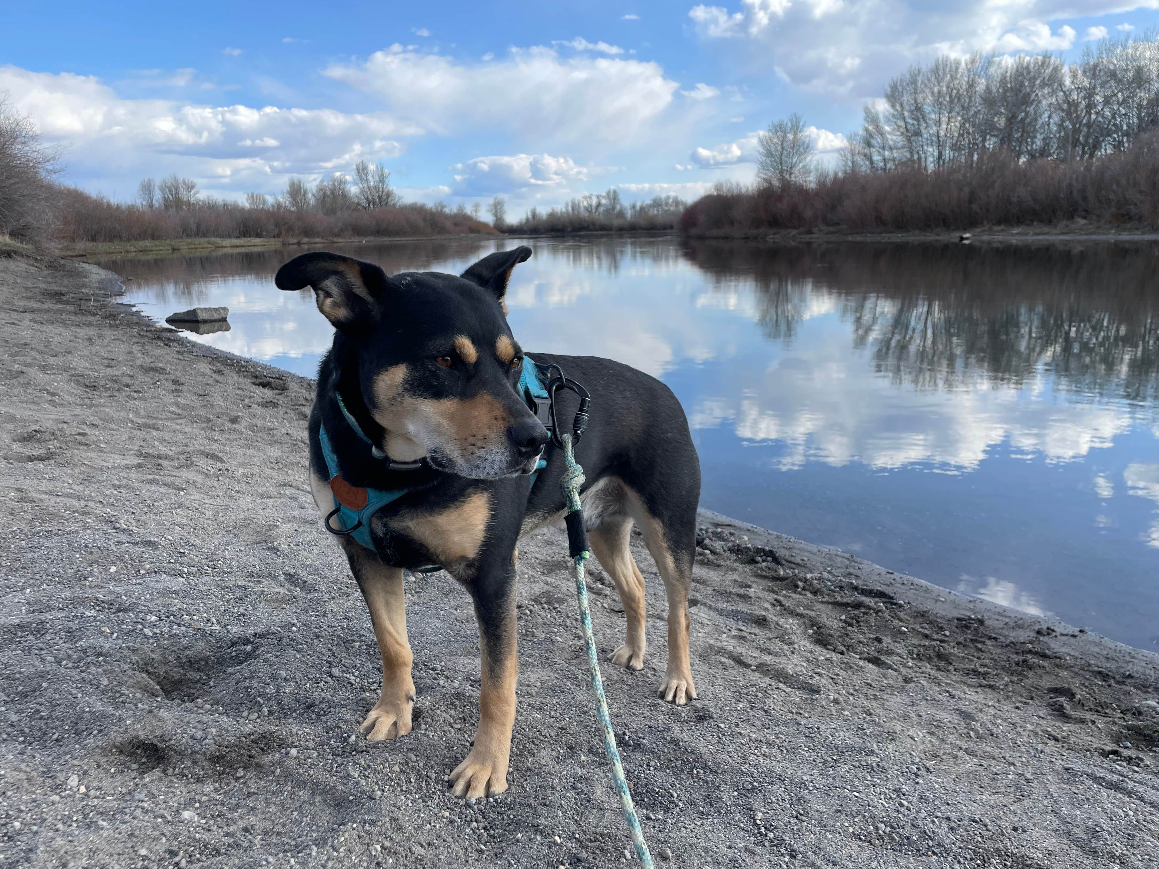 Camper-submitted photo at Warm Slough near Rigby, ID