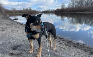 Janae M.'s photo of camping with pets at Warm Slough near Idaho Falls, ID