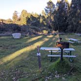 Review photo of Hosmer Grove Campground — Haleakalā National Park by Shari  G., April 27, 2022