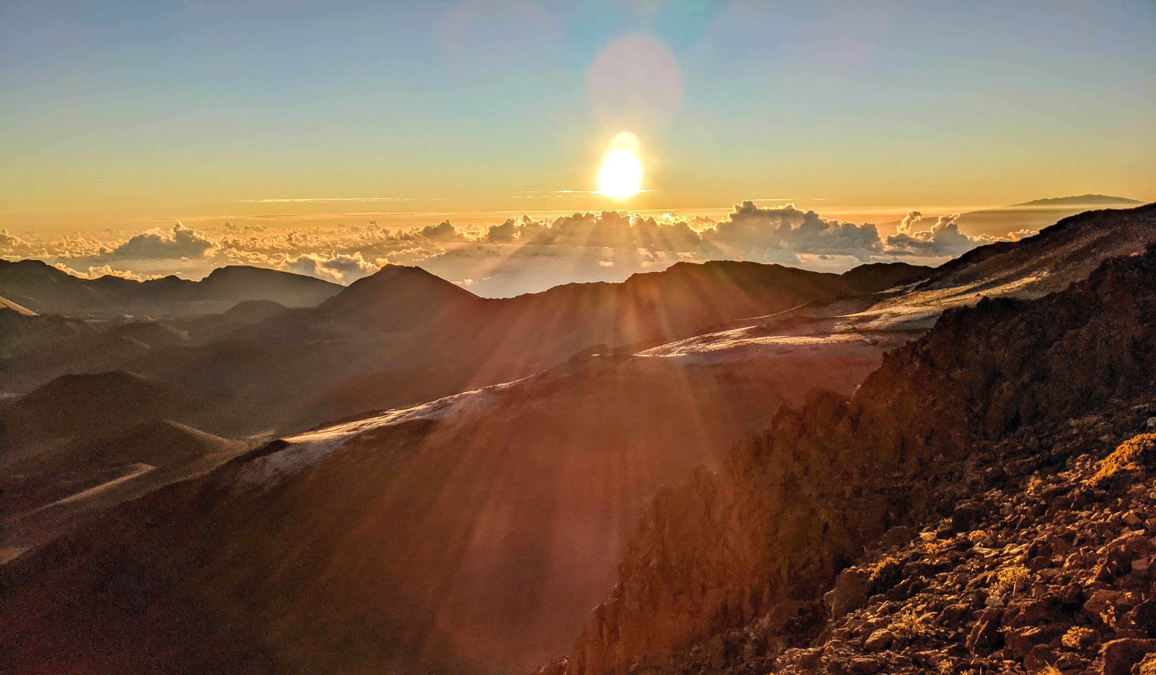 Camper-submitted photo at Hosmer Grove Campground — Haleakalā National Park near Lahaina, HI