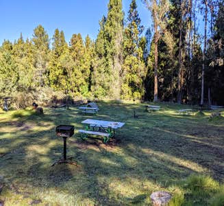 Camper-submitted photo from Nāmakanipaio Campground — Hawai'i Volcanoes National Park