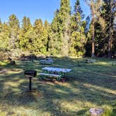 Review photo of Hosmer Grove Campground — Haleakalā National Park by Shari  G., April 27, 2022