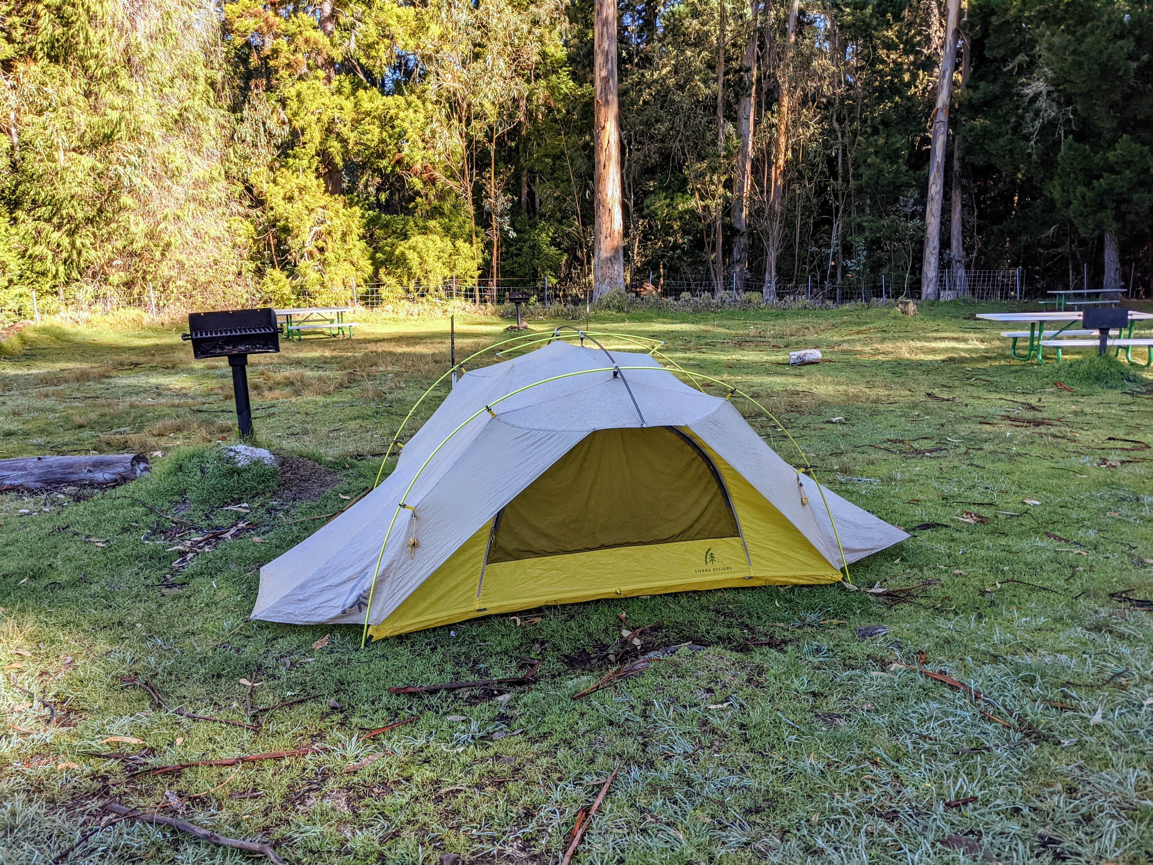 Camper submitted image from Hosmer Grove Campground — Haleakalā National Park - 1