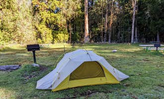 Camping near Uka Hawaiian Native Camp: Hosmer Grove Campground — Haleakalā National Park, Haleakala National Park, Hawaii