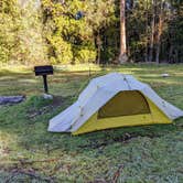 Review photo of Hosmer Grove Campground — Haleakalā National Park by Shari  G., April 27, 2022