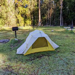 Hosmer Grove Campground — Haleakalā National Park