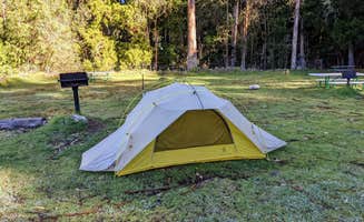 Shari G.'s photo at Hosmer Grove Campground — Haleakalā National Park in Hawaii