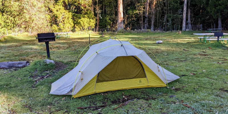 Camper submitted image from Hosmer Grove Campground — Haleakalā National Park
