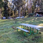 Review photo of Hosmer Grove Campground — Haleakalā National Park by Shari  G., April 27, 2022