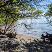 Review photo of Camp Olowalu by Shari  G., April 27, 2022