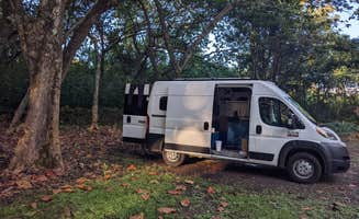 Shari G.'s photo of rv camping at Waiʻanapanapa State Park Campground in Hawaii