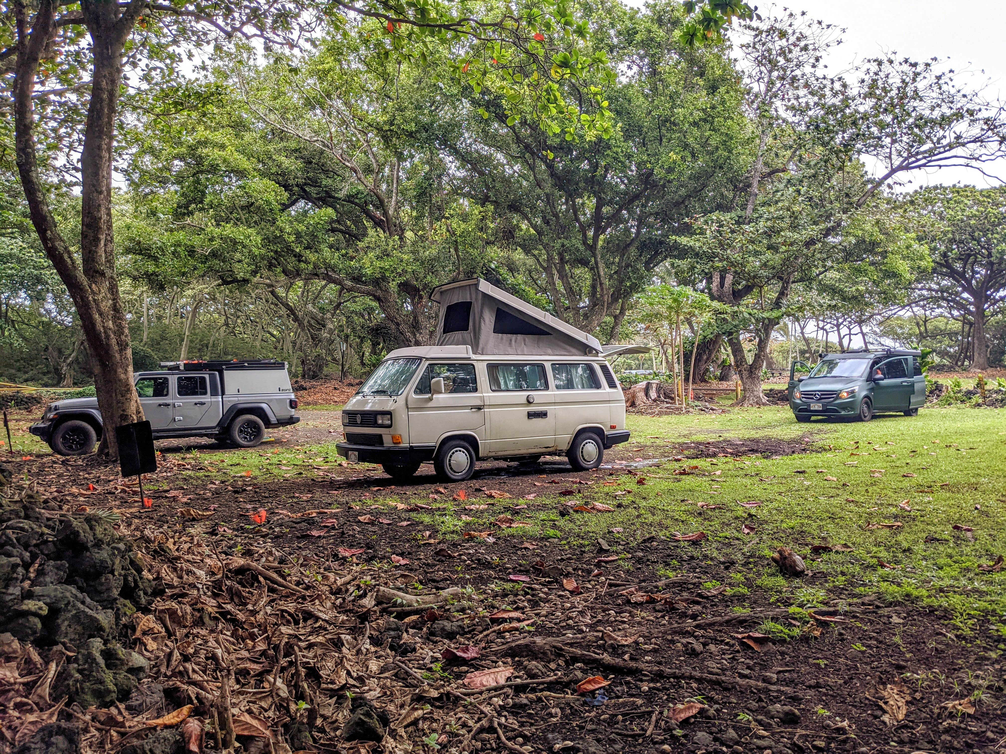 Shari  G.'s photo of rv camping at Waiʻanapanapa State Park Campground near Kahului, HI