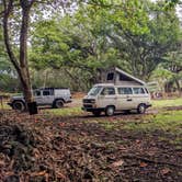 Review photo of Waiʻanapanapa State Park Campground by Shari  G., April 27, 2022