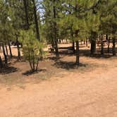 Review photo of Bryce Canyon Pines Campground by T K., April 27, 2022