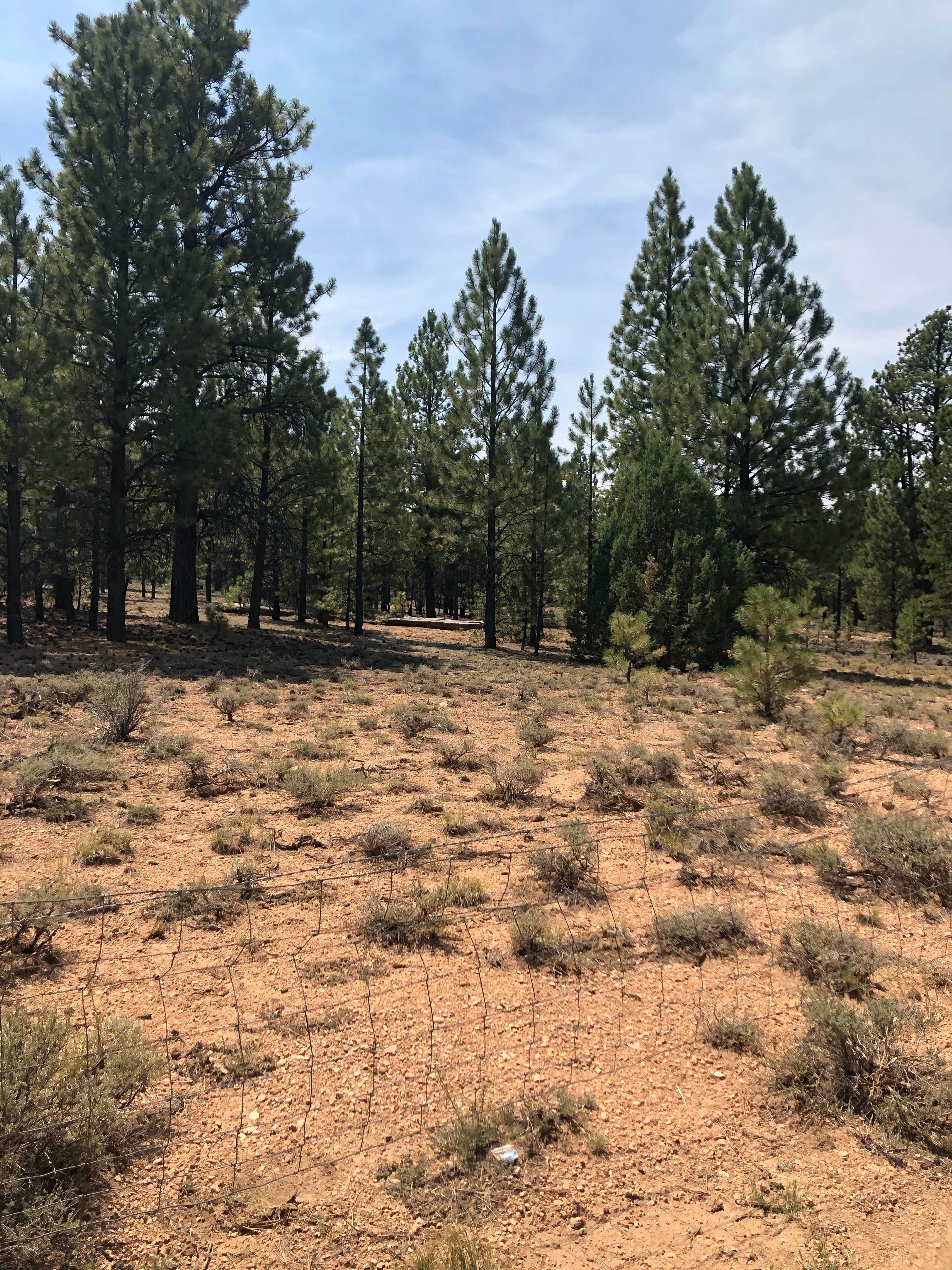 Camper-submitted photo at Bryce Canyon Pines Campground near Dixie National Forest