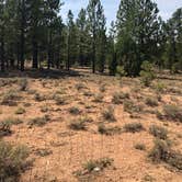 Review photo of Bryce Canyon Pines Campground by T K., April 27, 2022