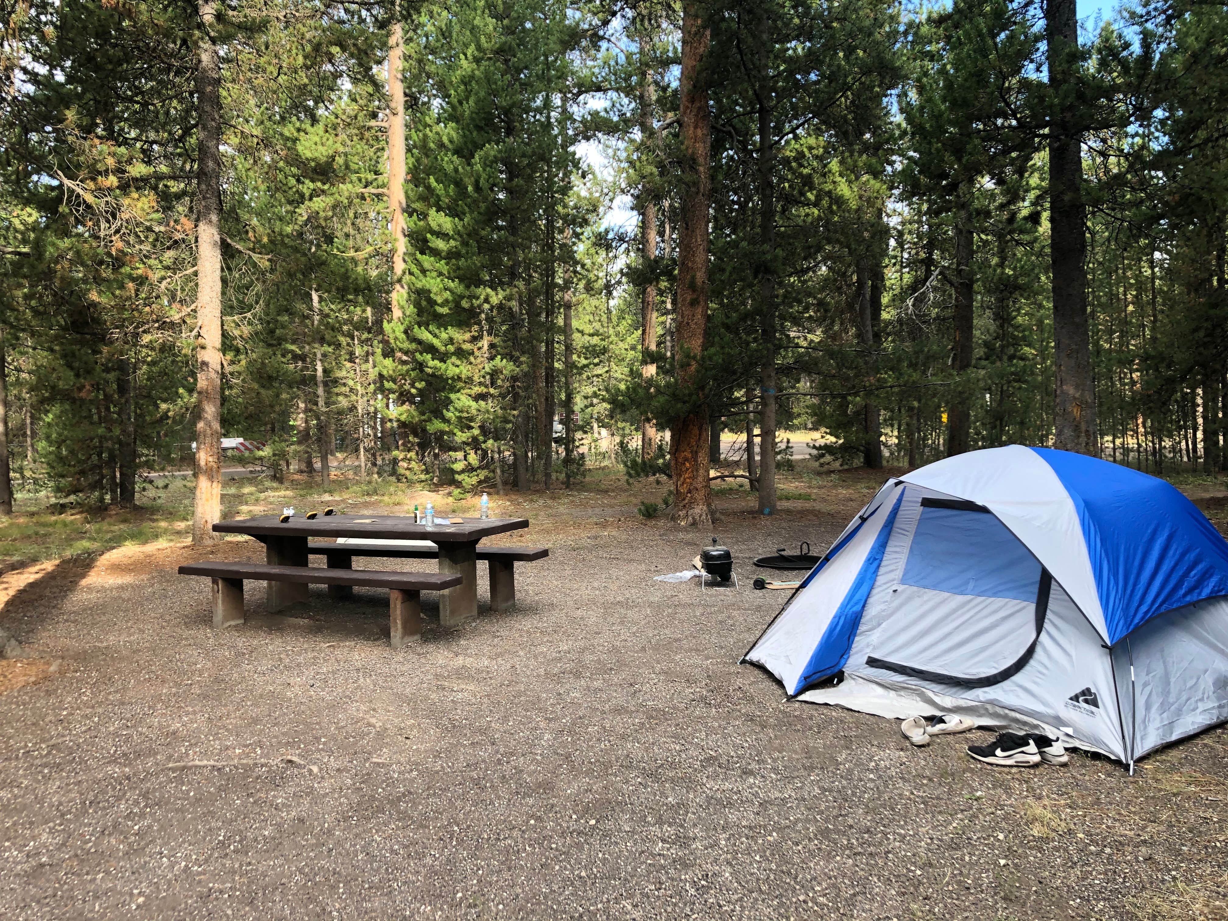 T K.'s photo at Rainbow Point Campground near West Yellowstone, MT