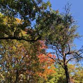 Review photo of Mathews Arm Campground — Shenandoah National Park by T K., April 27, 2022