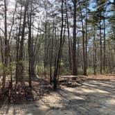 Review photo of Atsion Family Camp — Wharton State Forest by Paula , April 27, 2022