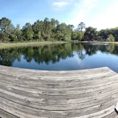 Panoramic of the pond