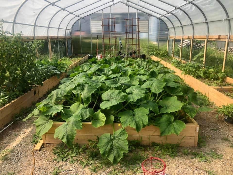 Camper-submitted photo at Paugus Brook Farm near Belmont, NH