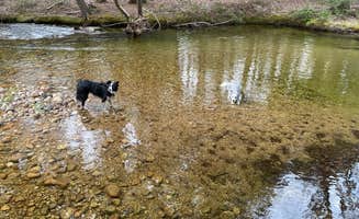 Matt  D.'s photo of camping with pets at Paugus Brook Farm near North Conway, NH