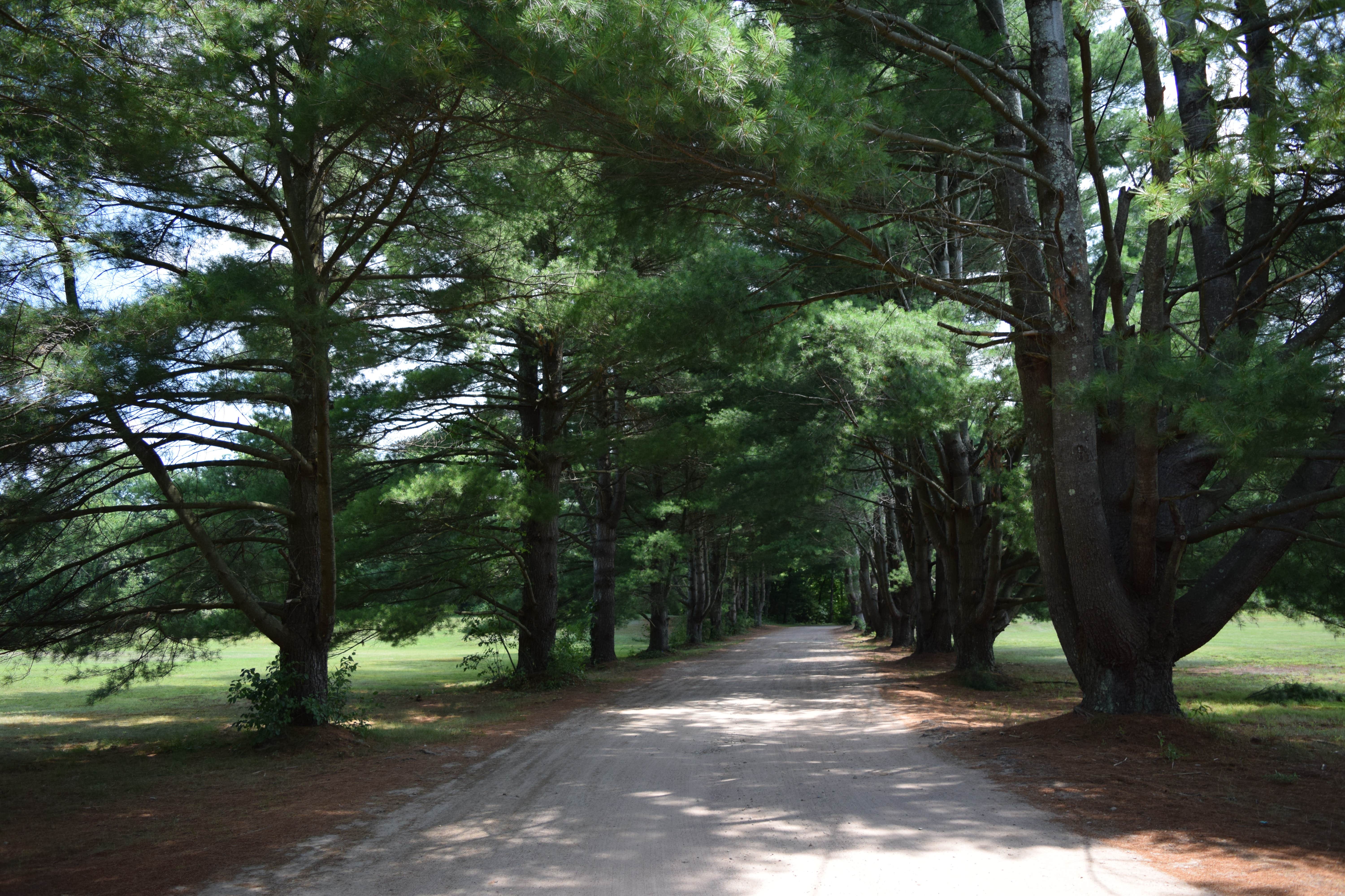 Camper-submitted photo at The Quarry Campground near Somers, CT