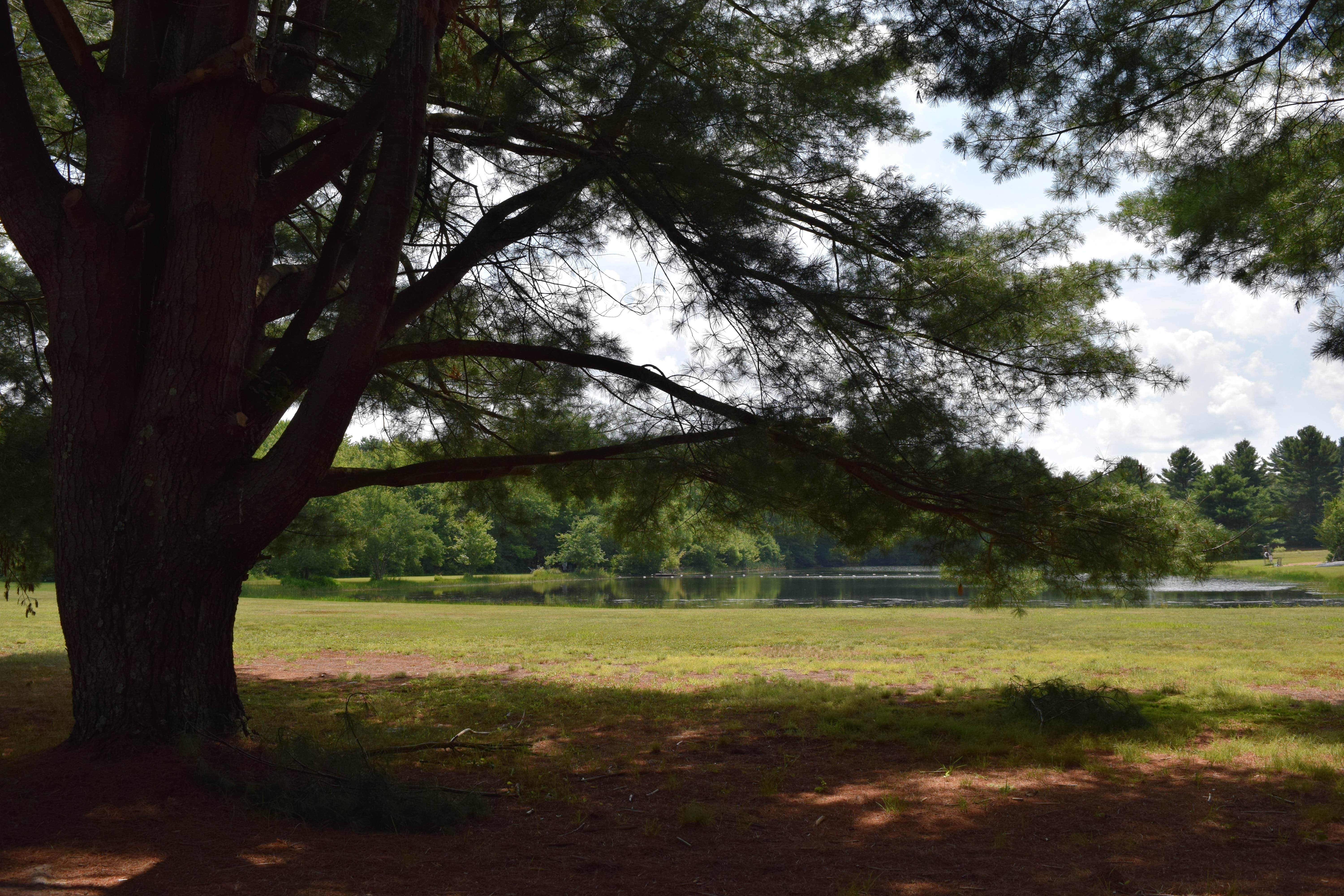 Camper-submitted photo at The Quarry Campground near Somers, CT