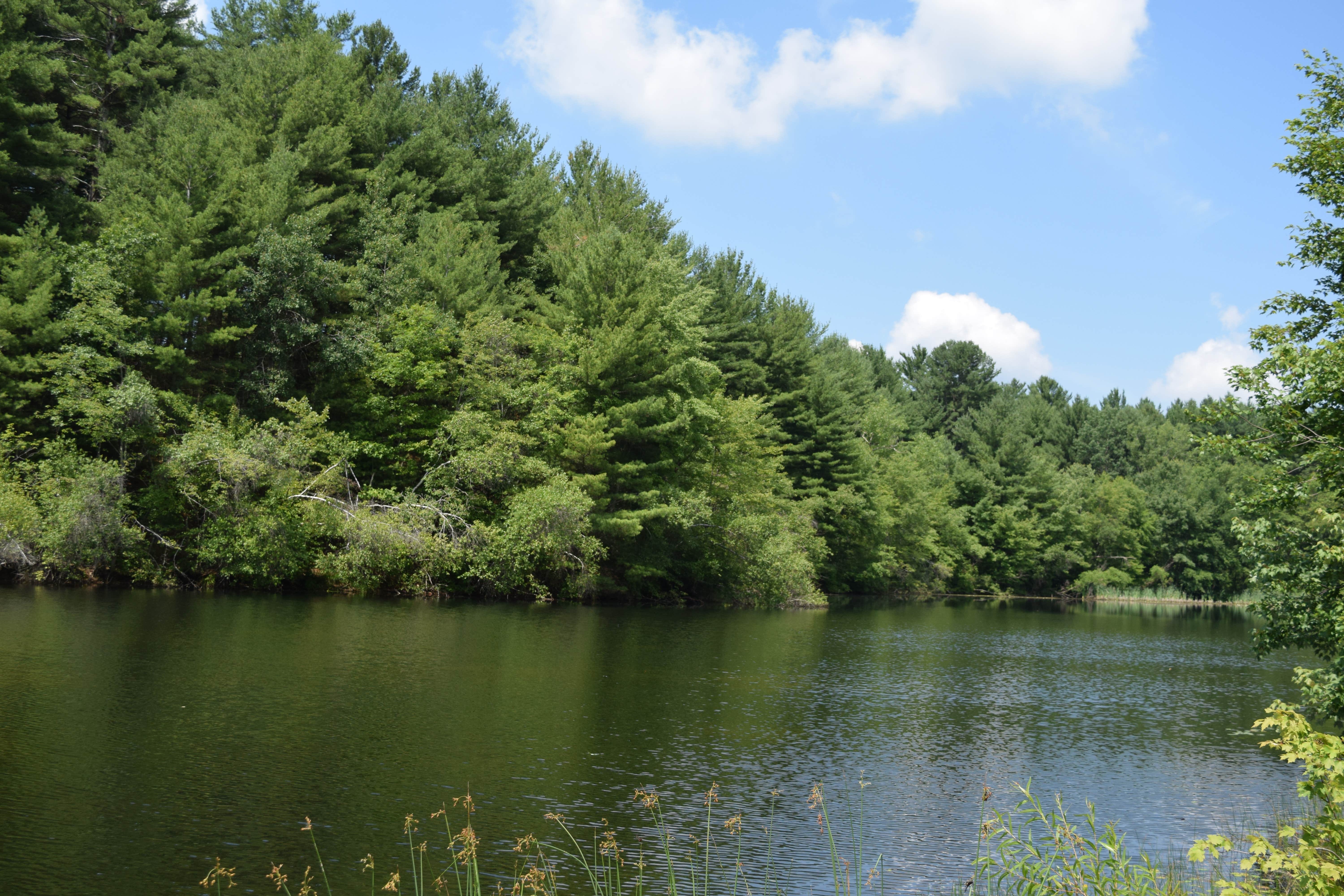 Camper-submitted photo at The Quarry Campground near Somers, CT