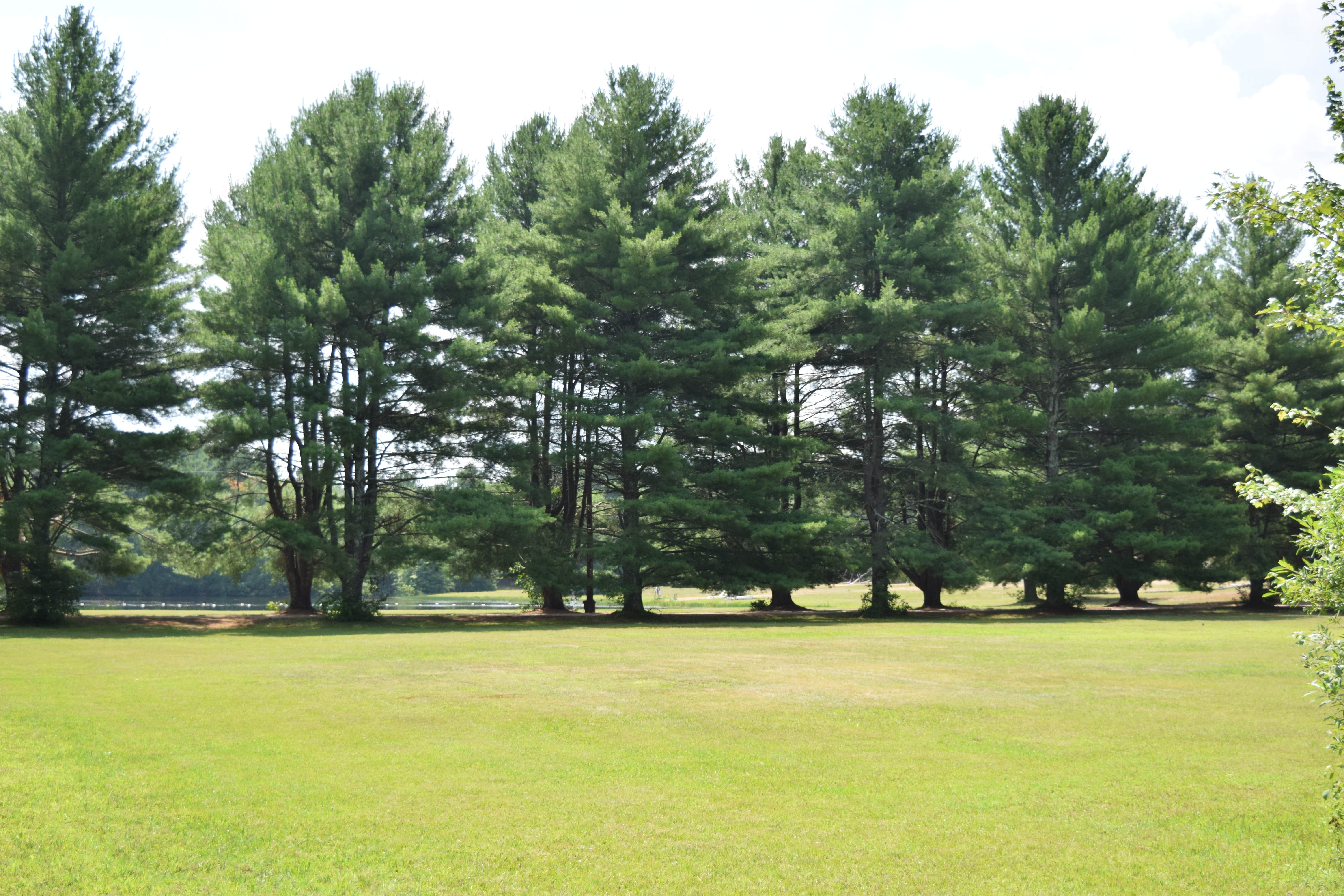Camper-submitted photo at The Quarry Campground near Somers, CT