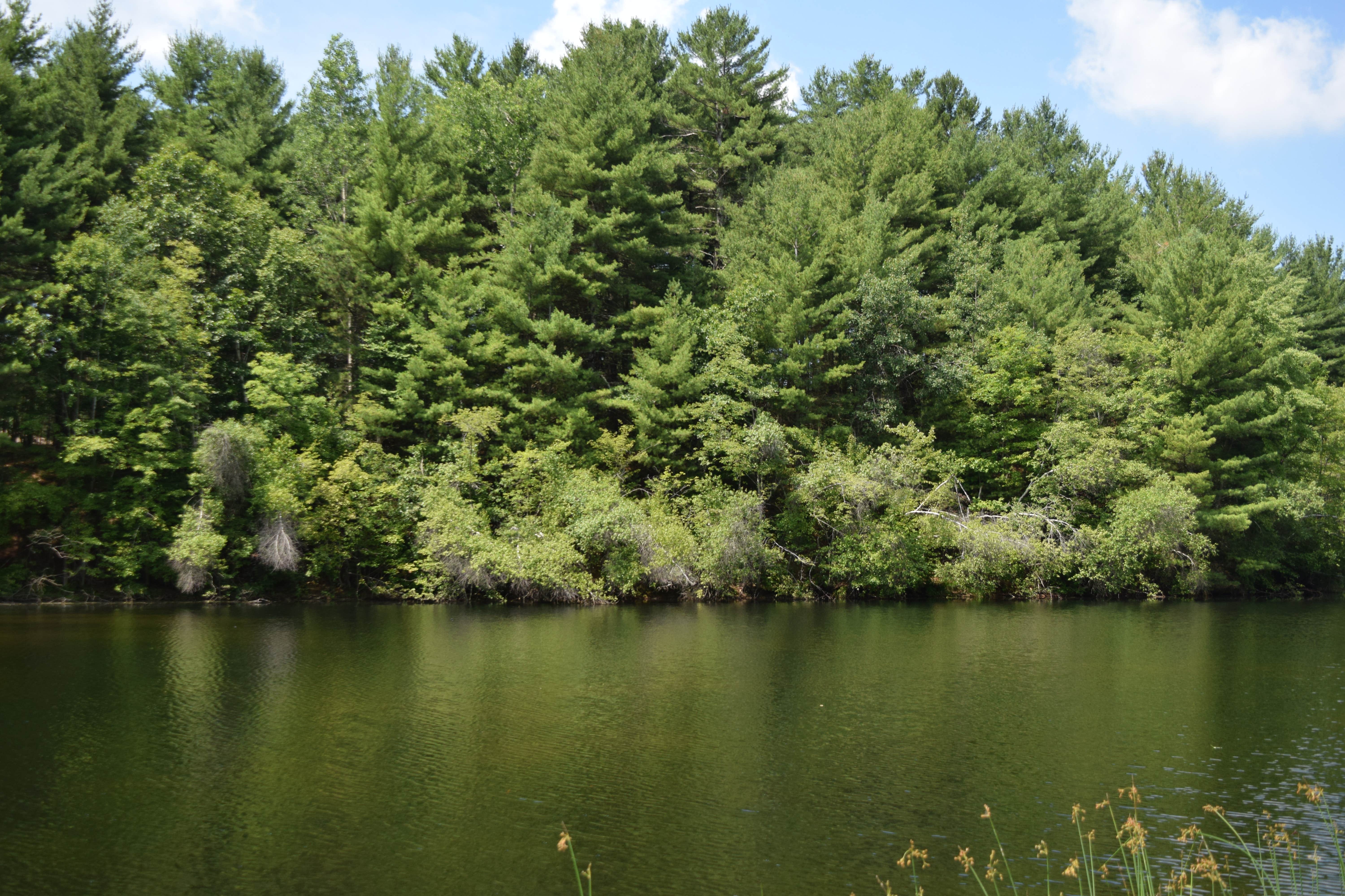 Camper-submitted photo at The Quarry Campground near Somers, CT