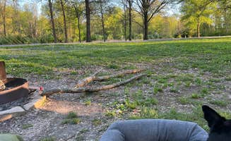 Cooper F.'s photo of camping with pets at Gun Creek near Bonnie, IL