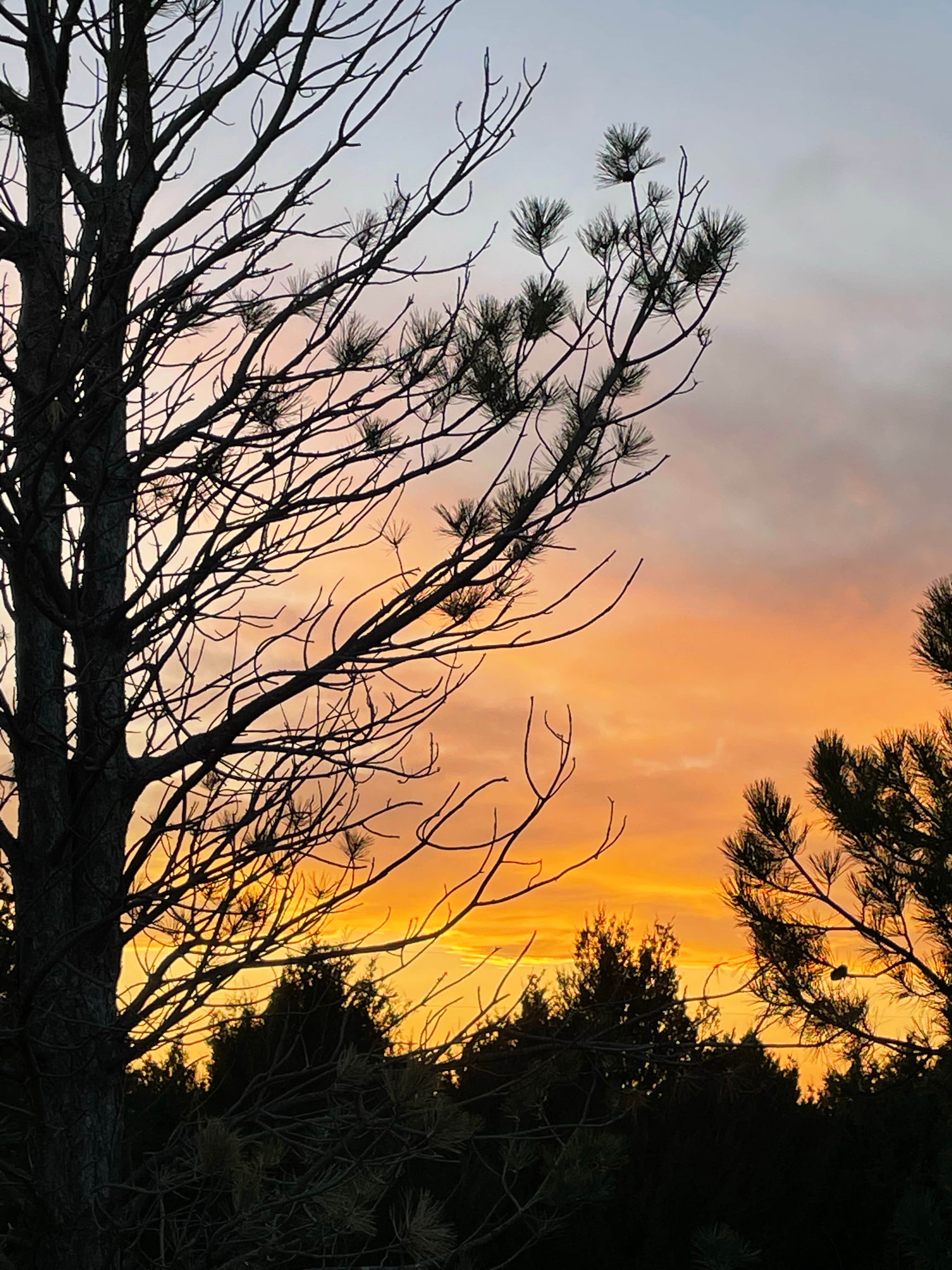 Camping near Mid-America Camp Inn: Painted Rock RV Park and Campground, Weskan, Colorado