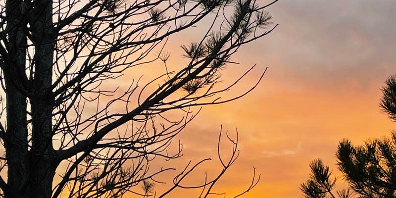 Camper submitted image from Painted Rock RV Park and Campground