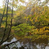 Review photo of Brunet Island State Park Campground by Troy A., April 28, 2022