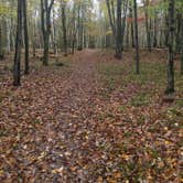 Review photo of Brunet Island State Park Campground by Troy A., April 28, 2022