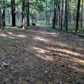 Review photo of Council Grounds State Park Campground by Troy A., April 28, 2022