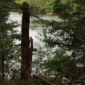 Review photo of Cliffwood Campground — Mirror Lake State Park by Troy A., April 28, 2022