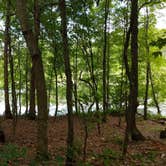 Review photo of Cliffwood Campground — Mirror Lake State Park by Troy A., April 28, 2022