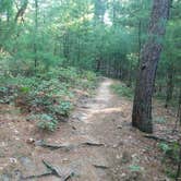 Review photo of Roche A Cri State Park Campground by Troy A., April 28, 2022