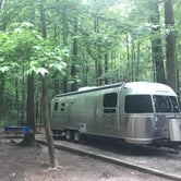 Review photo of Unicoi State Park & Lodge by Megan M., July 13, 2018